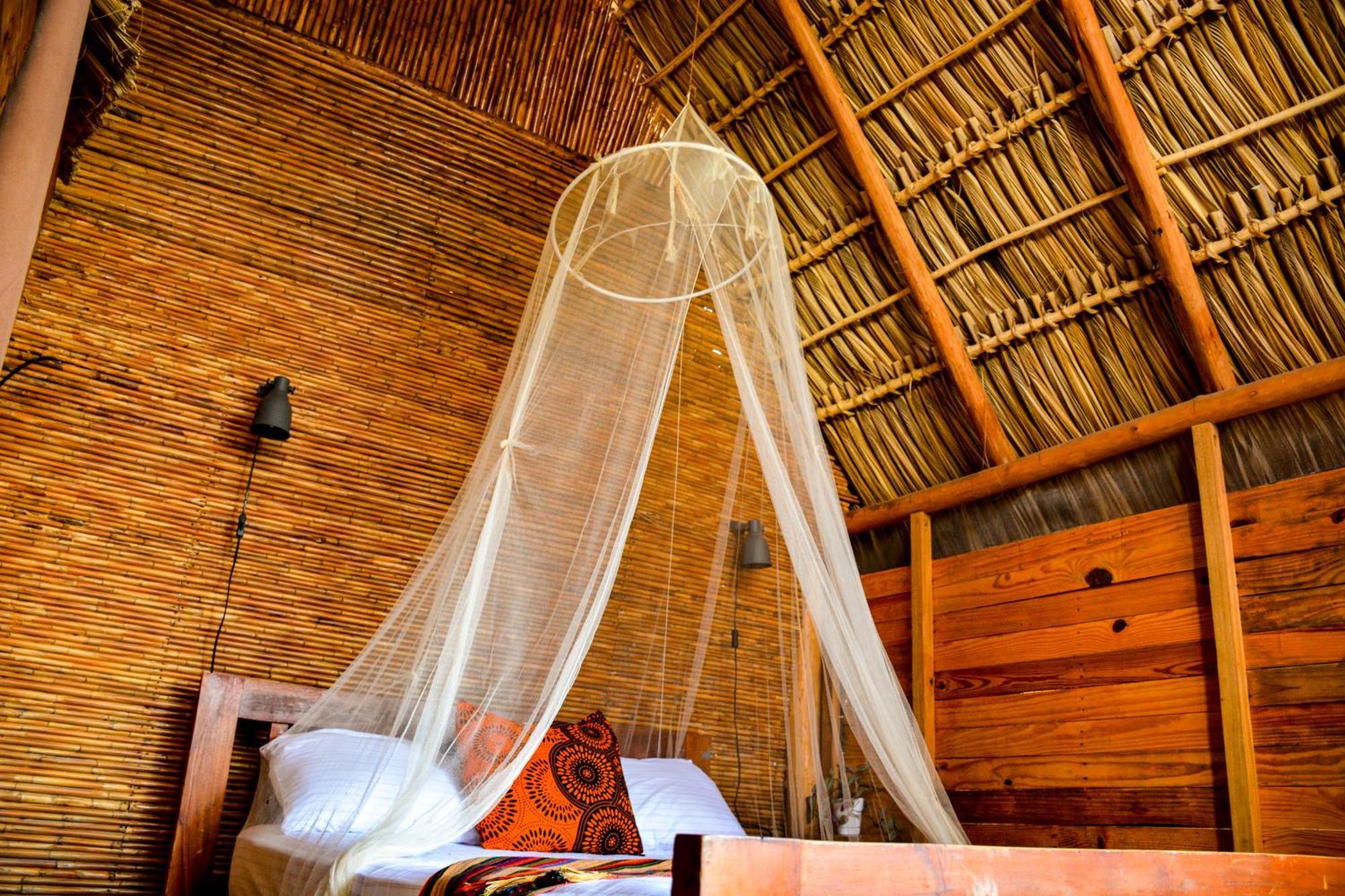 Casa Caracola Hotel Granada Ngoại thất bức ảnh
