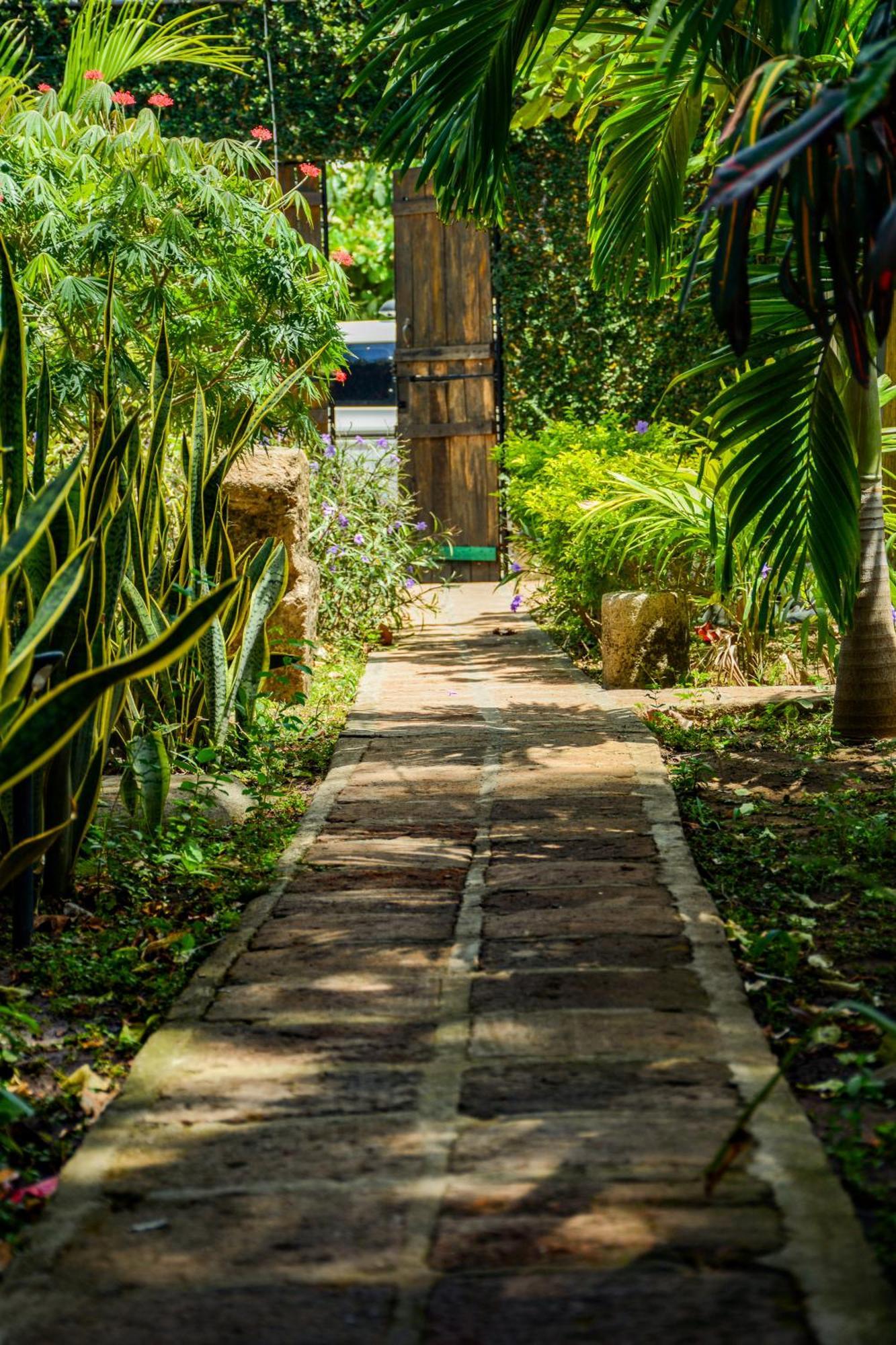Casa Caracola Hotel Granada Ngoại thất bức ảnh